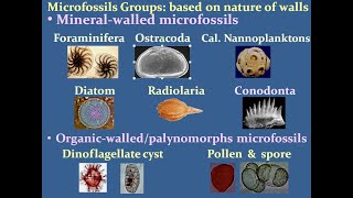 Applications of Microfossils Detailed Account Prof PK Kathal Micropaleontology [upl. by Herschel411]