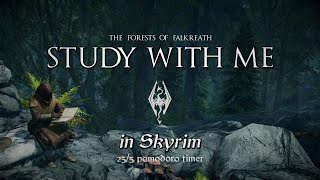 Study with Me in Skyrim  Forests of Falkreath  255 Pomodoro Timer 2hr 4K [upl. by Crocker]