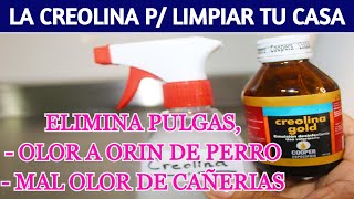 🌺 USOS DE LA CREOLINA para desinfectar y limpiar tu casa [upl. by Paine]