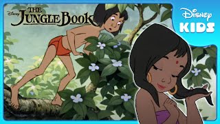 Mowgli Finds the Man Village 🏡  Jungle Book  Disney Kids [upl. by Eeleak]