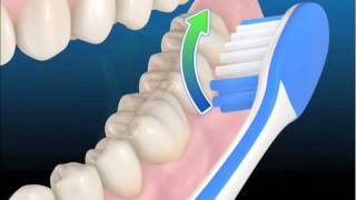 💡🤩 2 formas de lavar los dientes 🦷 a niños pequeños [upl. by Aneleiram]