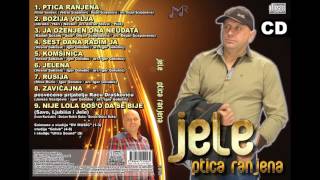 Jele  Ja ozenjen ona neudata Album 2015 [upl. by Cirdnek]