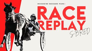 Mohawk Sbred October 12 2024 Race 5  Woodbine Horse Race Replay [upl. by Wilkey]