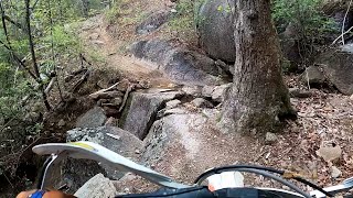 Brown Mountain EP II SINGLETRACK gopro motorcycle moto singletrack enduro dualsport [upl. by Wilhide]