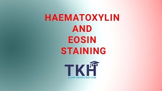 H and E staining  Haematoxylin and Eosin Staining  Harris Haematoxylin Stain  Staining Procedure [upl. by Asilrahc]