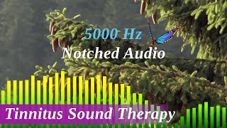 Tinnitus Sound Therapy Notched at 5000 Hz with Birds Water and Pink Noise Variable Sound [upl. by Whitebook335]