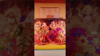 Shri ji ke sath chhoti Diwali ka utsav 🪔✨💖❣️😊2024 trending shortsBhavya laddu Gopal Puja [upl. by Lyontine757]