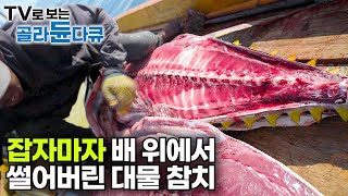 이 거대한 대물 황다랑어는 우리 돈 24만 원에 일본으로 수출됩니다｜한 달 월급 18만 원 인도네시아 참치 어부｜술라웨시 바다｜인간과 바다｜골라듄다큐 [upl. by Almallah]