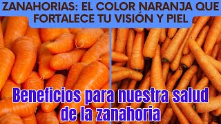 Zanahorias El Color Naranja que Fortalece tu Visión y Piel [upl. by Ytinirt]