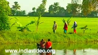 Life in Kuttanad  Backwaters Paddy fields Fishing [upl. by Carree]