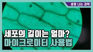 세포 크기 측정하기 마이크로미터 사용법 [upl. by Gilead217]