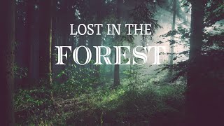 Chill Vibe  Lost in the Forest Beatz  Dj Scorp [upl. by Merlin]