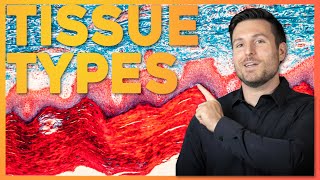 Intro to Histology The Four Tissue Types  Corporis [upl. by Farrel]