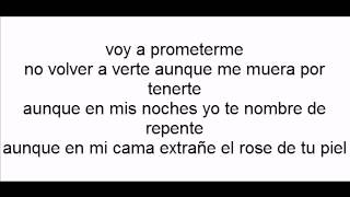 Voy a prometerme victor manuelle con letra [upl. by Alokin632]