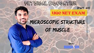 Microscopic structure of muscle fiber by Rahul sir  Muscular system  Physiology  PE UGC NET JRF [upl. by Bloem]