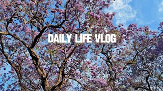 Spring vlog  Daily life  Australia [upl. by Marleen]