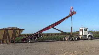 Australia sugar cane harvest [upl. by Aikam]