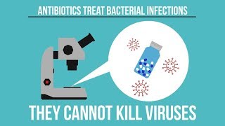 When Should I Use An Antibiotic Patient Waiting Room  Casual [upl. by Ecirtram357]