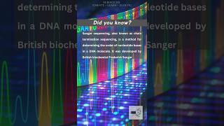 Sanger Sequencing simplified [upl. by Hinson]