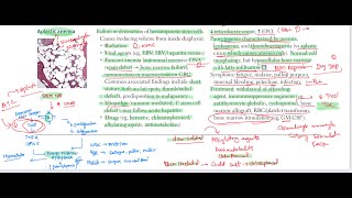 Aplastic anemia haematology 46 First Aid USMLE Step 1 in UrduHindi [upl. by Acirem863]