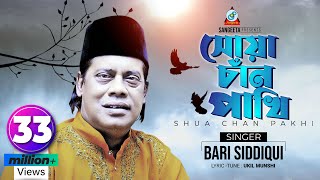 Shua Chan Pakhi  Bari Siddiqui  সোয়া চাঁন পাখি  বারী সিদ্দিকী  Music Video [upl. by Jarv860]