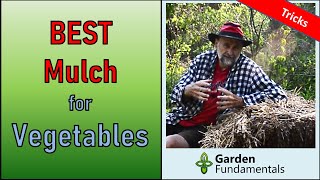 Best Mulch for Vegetable Gardens  And How To Apply It Correctly [upl. by Nosneb484]