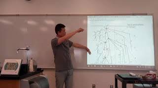 Physics 4C  Strangeness  Discovery of K Meson [upl. by Llenhoj863]