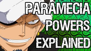 PARAMECIA Fruits Explained The Good The Bad and The OP  Tekking101 [upl. by Ludly222]