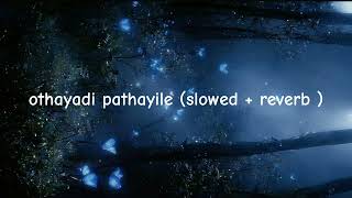 othayadi pathayile  slowedreverb tamil love song slowedandreverb [upl. by Enilatan]