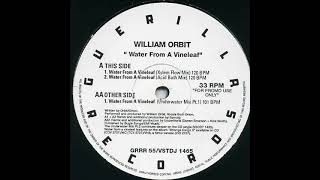 William Orbit  Water From A Vine Leaf Xylem Flow Mix [upl. by Gersham361]