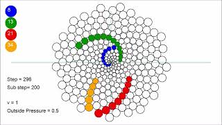 This is how phyllotaxis is born [upl. by Sumner]