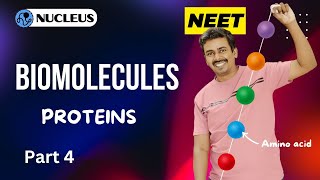 Proteins II Biomolecules IIPart 4 Nucleus Neet coaching [upl. by Annitsirhc]