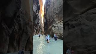 Zion Narrows Hike Trekking Through Eroded Rock Formations zionnationalpark water hiking [upl. by Algar]