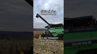 🌽🌽🌽Mamy jeszcze wolne terminy na koszenie kukurydzy❗️DeutzFahr C6205TS z przystawka R6 Capelllo [upl. by Donetta]