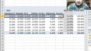 Excel Video 301 Percentages of the Parent Column Total [upl. by Schifra848]