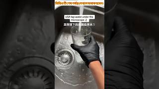 Tap water microscope zoom shorts microscope facts water viralvideos [upl. by Bael562]