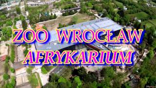 ZOO Wrocław Afrykarium czerwiec 2016r [upl. by Varin]