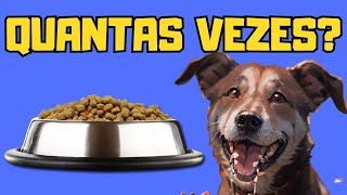 QUANTAS VEZES UM CACHORRO DEVE COMER POR DIA [upl. by Dulciana]