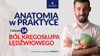 Ból kręgosłupa lędźwiowego Anatomia w praktyce Odcinek 14 [upl. by Chute]