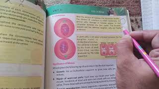 What is Mitosis  Division Phase Karyokinesis Cytokinesis Prophase Metaphase Anaphase Telophase [upl. by Icram]