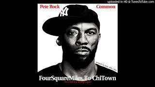 Pete Rock amp Common  The Light is Love [upl. by Ameluz]