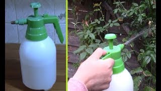 Comment faire un insecticide naturel fait maison [upl. by Wagner274]