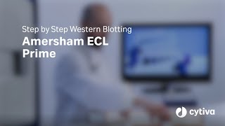 Step by Step Western Blotting  Amersham™ ECL™ Prime [upl. by Ambrogio490]