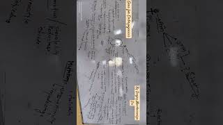 Molecular Analysis of Embryogenesis molecularbiology plantanatomy uniraj short viralshorts [upl. by Owens474]