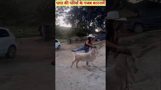 papa ki pariyon ke gajab karna mai 😂 Papa Ki Pari  funny fails  shorts factsneek [upl. by Elleniad]