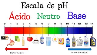 ⚠️ ¿Qué es el pH Escala de pH EJEMPLOS ⚠️ Fácil y Rápido  QUÍMICA [upl. by Ydissahc]