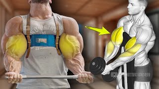 6 Effective Huge Biceps Exercises [upl. by Bannerman49]