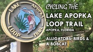 The Lake Apopka Loop Trail by BIKE [upl. by Russel]