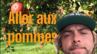 Aller aux pommes c’est l’enfer [upl. by Ylatfen]