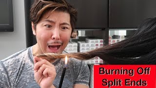 Burning Off Split Ends [upl. by Inama]